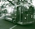 Evening Haunted Trolley Tour Photo