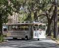 Savannah Historic Overview Trolley Tour Photo