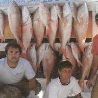 Gulfstream Party Boat Fishing 1/2 Day Trip