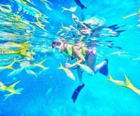 Snorkel Reef Cruise, Key West Florida