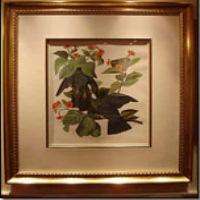 Audubon House and Tropical Gardens of Key West, paintings