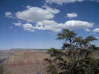 bajando en el gran canyon