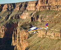 Helicopter Tour - Sheep
