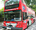 Foreign Language New York City Tour plus All Loops 48 hour pass Tour in English by Gray Lin Photo