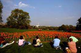 Washington DC View from the Iwo Jima Memorial